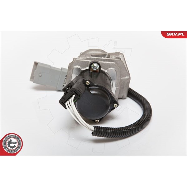 Egr-ventil 12V Esen skv 14SKV071 ESEN SKV