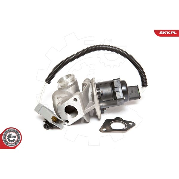Egr-ventil 12V Esen skv 14SKV071 ESEN SKV