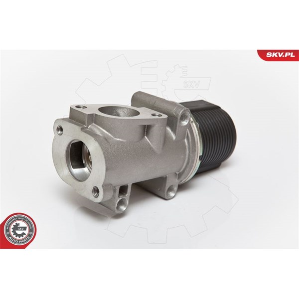 Egr-ventil 12V Esen skv 14SKV076 ESEN SKV