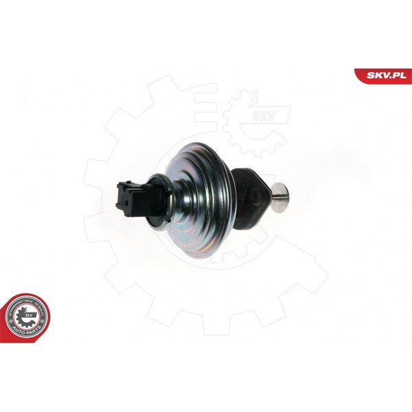 Egr-ventil 12V Esen skv 14SKV078 ESEN SKV