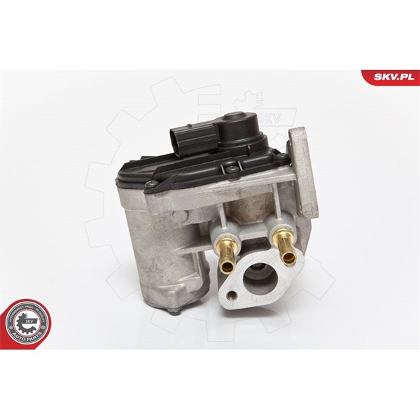 Egr-ventil 12V Esen skv 14SKV086 ESEN SKV