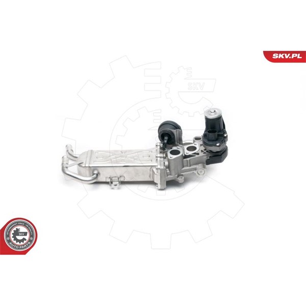 Egr-ventil 12V Esen skv 14SKV096 ESEN SKV