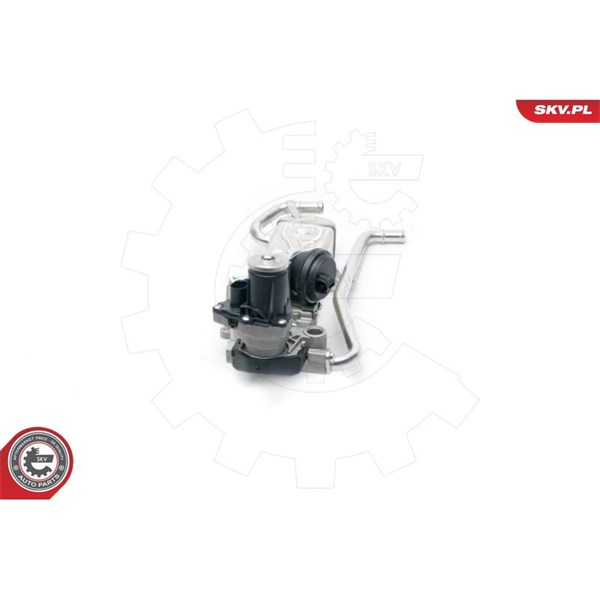 Egr-ventil 12V Esen skv 14SKV096 ESEN SKV