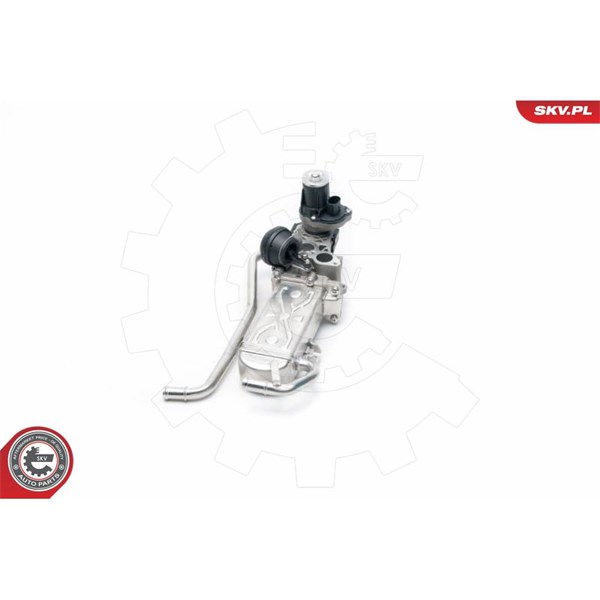 Egr-ventil 12V Esen skv 14SKV096 ESEN SKV