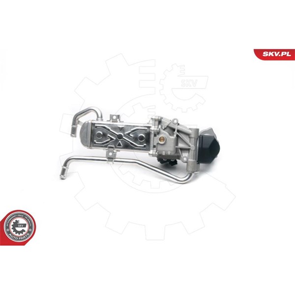 Egr-ventil 12V Esen skv 14SKV096 ESEN SKV