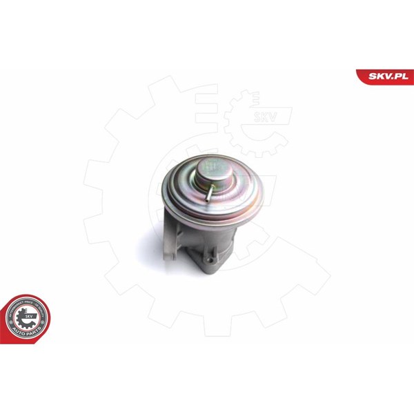 Egr-ventil Esen skv 14SKV098 ESEN SKV