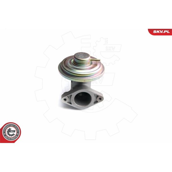 Egr-ventil Esen skv 14SKV098 ESEN SKV Egr-ventil Esen skv 14SKV098 ESEN SKV