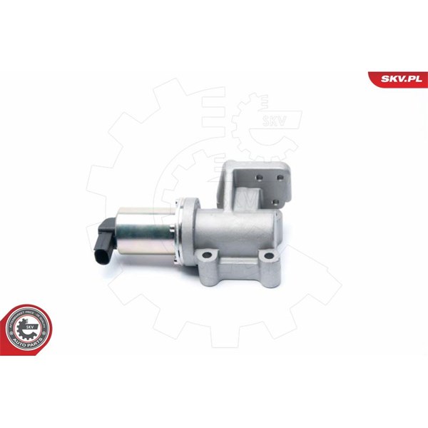 Egr-ventil 12V Esen skv 14SKV099 ESEN SKV