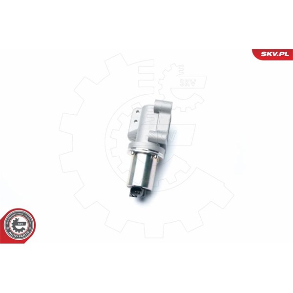 Egr-ventil 12V Esen skv 14SKV099 ESEN SKV