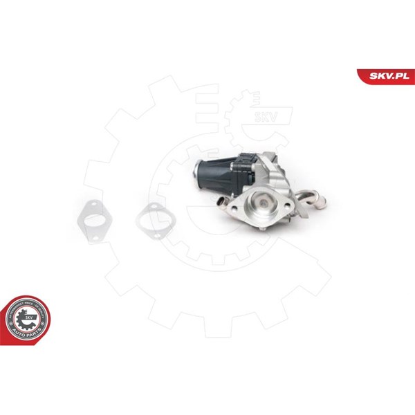 Egr-ventil 12V Esen skv 14SKV100 ESEN SKV