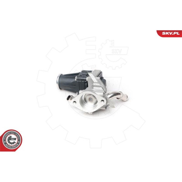 Egr-ventil 12V Esen skv 14SKV100 ESEN SKV