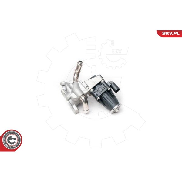 Egr-ventil 12V Esen skv 14SKV100 ESEN SKV