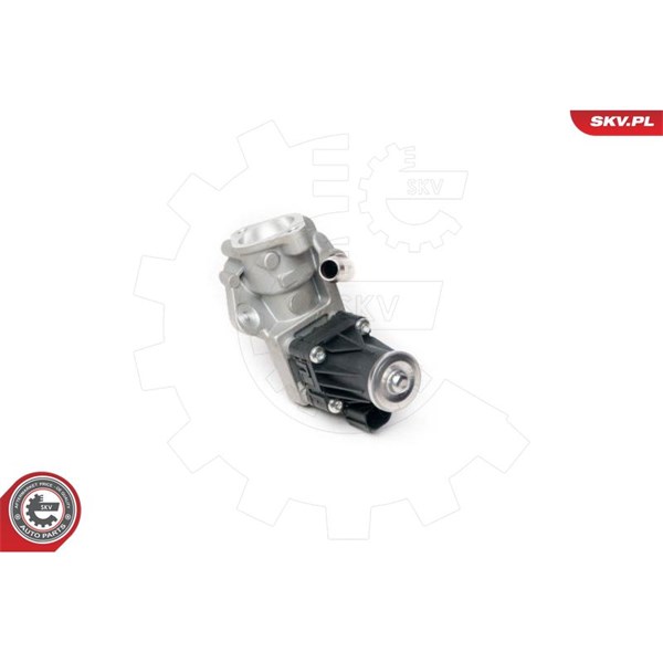 Egr-ventil 12V Esen skv 14SKV100 ESEN SKV