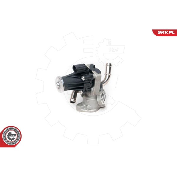 Egr-ventil 12V Esen skv 14SKV100 ESEN SKV