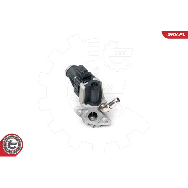 Egr-ventil 12V Esen skv 14SKV100 ESEN SKV