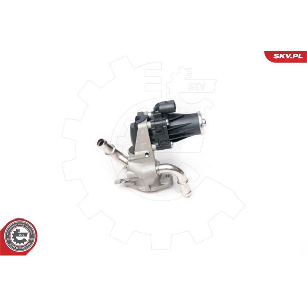 Egr-ventil 12V Esen skv 14SKV101 ESEN SKV