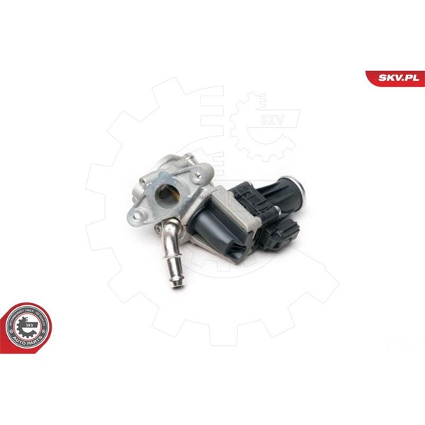 Egr-ventil 12V Esen skv 14SKV101 ESEN SKV