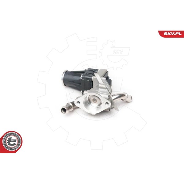 Egr-ventil 12V Esen skv 14SKV101 ESEN SKV