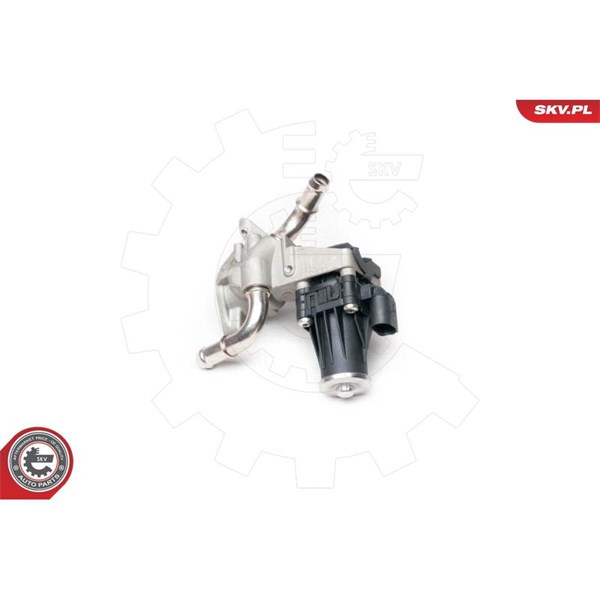 Egr-ventil 12V Esen skv 14SKV101 ESEN SKV