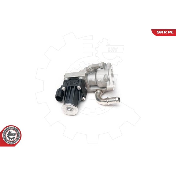 Egr-ventil 12V Esen skv 14SKV101 ESEN SKV