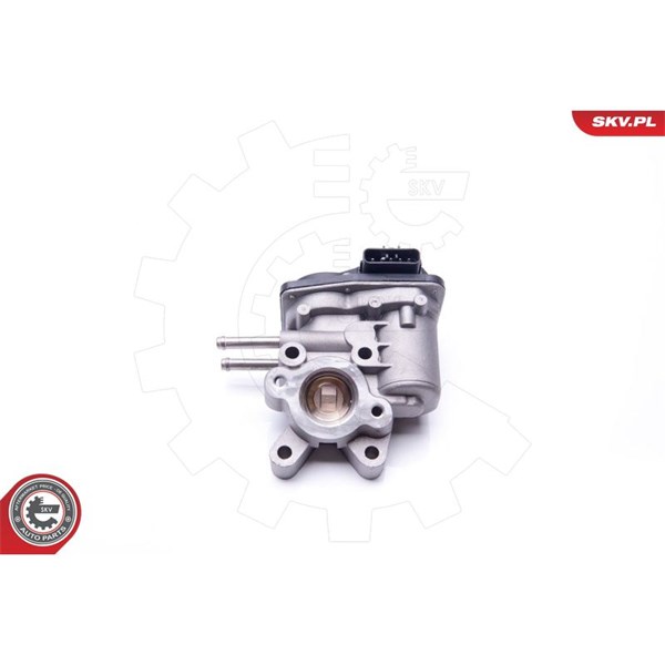 Egr-ventil 12V Esen skv 14SKV103 ESEN SKV
