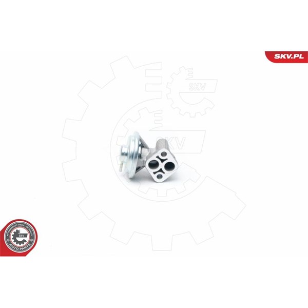 Egr-ventil Esen skv 14SKV104 ESEN SKV