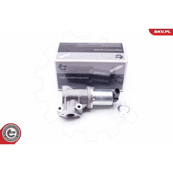 Egr-ventil 12V Esen skv 14SKV105 ESEN SKV