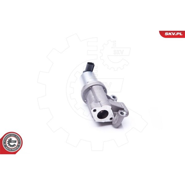 Egr-ventil 12V Esen skv 14SKV105 ESEN SKV