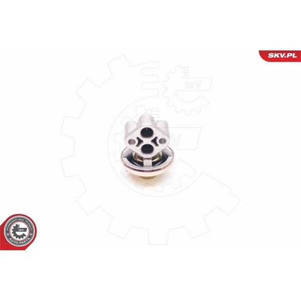 Egr-ventil Esen skv 14SKV130 ESEN SKV