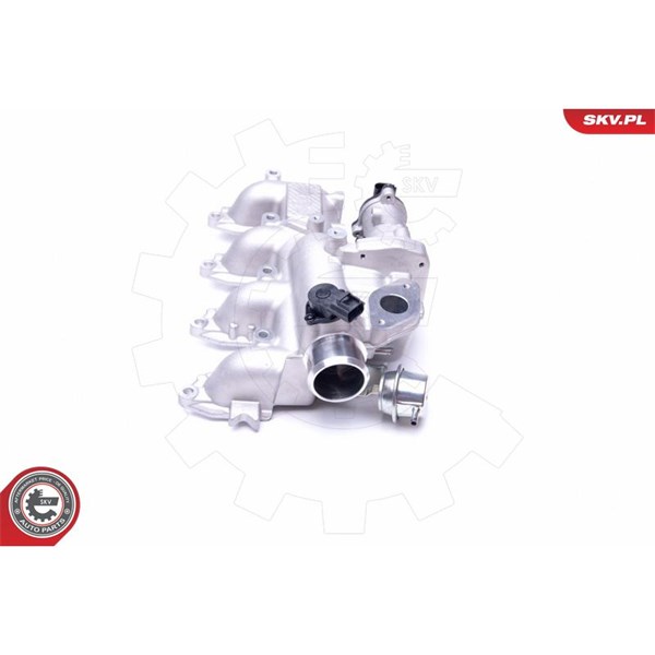 Egr-ventil Esen skv 14SKV156 ESEN SKV