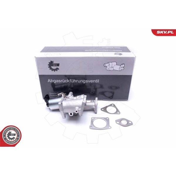 Egr-ventil 12V Esen skv 14SKV167 ESEN SKV