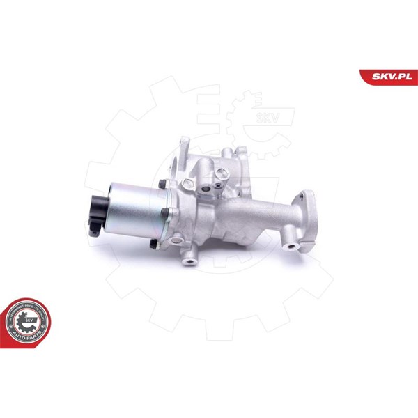 Egr-ventil 12V Esen skv 14SKV167 ESEN SKV