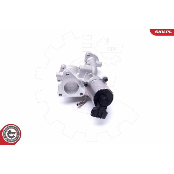 Egr-ventil 12V Esen skv 14SKV167 ESEN SKV