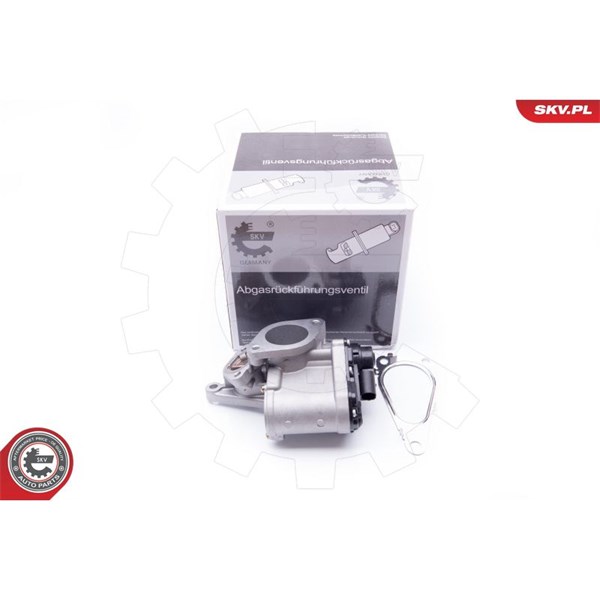 Egr-ventil 12V Esen skv 14SKV168 ESEN SKV