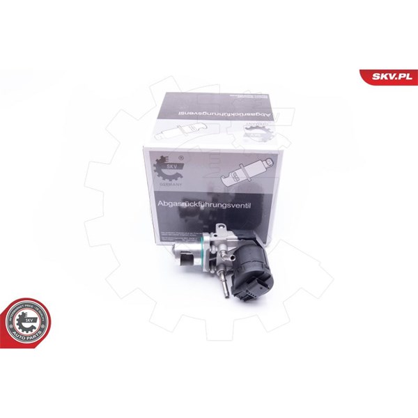 Egr-ventil 12V Esen skv 14SKV169 ESEN SKV