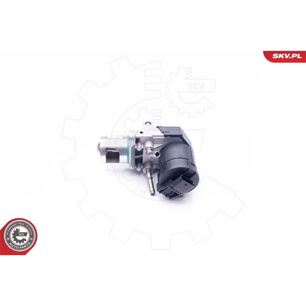 Egr-ventil 12V Esen skv 14SKV169 ESEN SKV Egr-ventil 12V Esen skv 14SKV169 ESEN SKV
