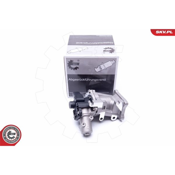 Egr-ventil 12V Esen skv 14SKV171 ESEN SKV