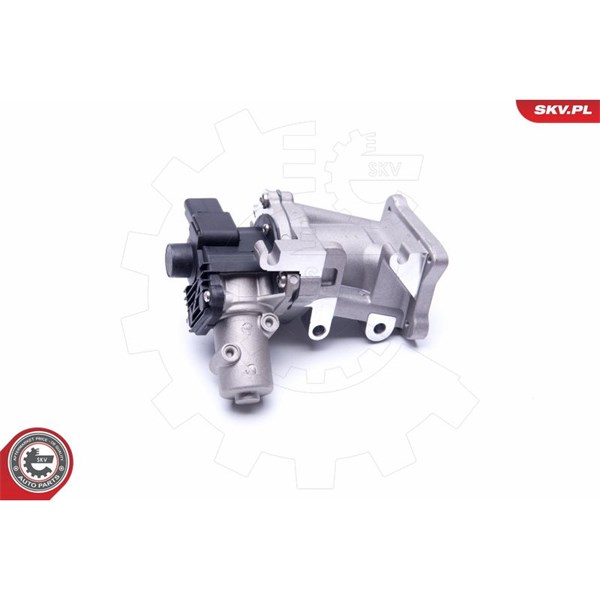 Egr-ventil 12V Esen skv 14SKV171 ESEN SKV