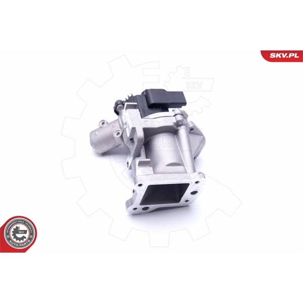 Egr-ventil 12V Esen skv 14SKV171 ESEN SKV