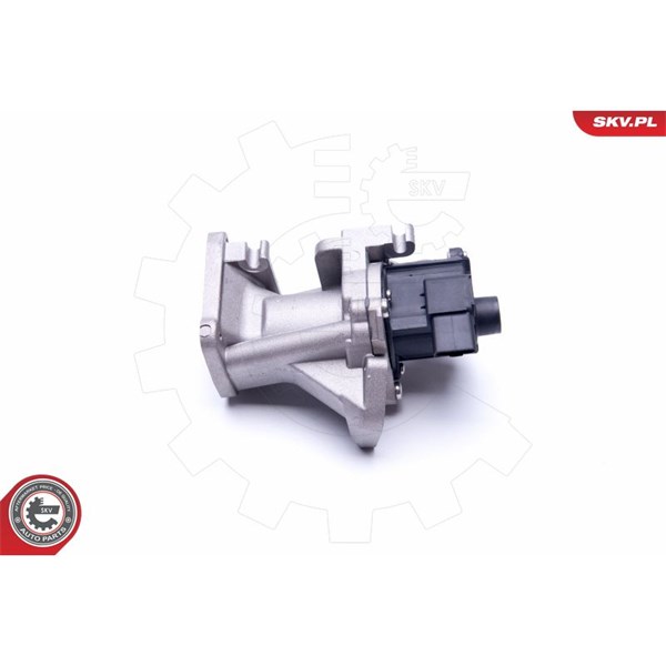 Egr-ventil 12V Esen skv 14SKV171 ESEN SKV