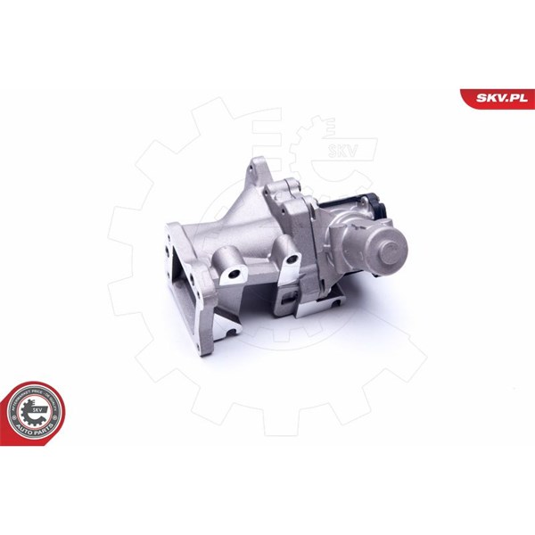 Egr-ventil 12V Esen skv 14SKV171 ESEN SKV