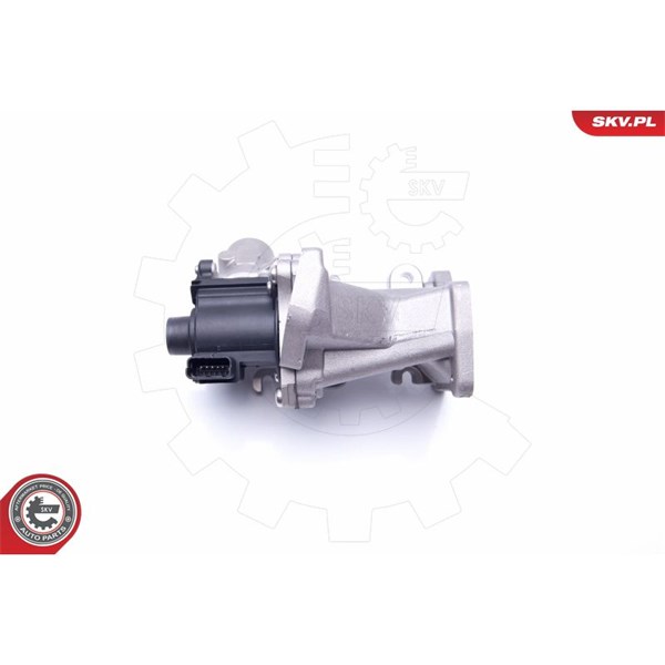 Egr-ventil 12V Esen skv 14SKV171 ESEN SKV