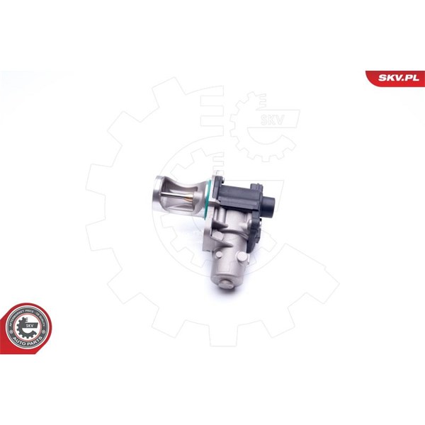 Egr-ventil 12V Esen skv 14SKV172 ESEN SKV
