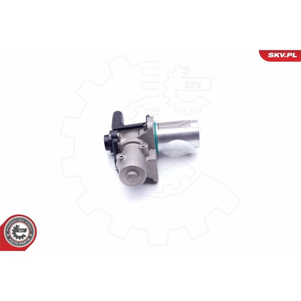 Egr-ventil 12V Esen skv 14SKV172 ESEN SKV