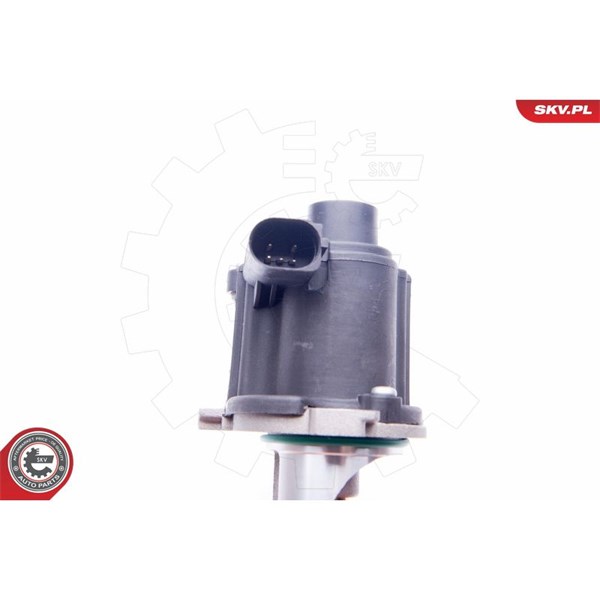 Egr-ventil 12V Esen skv 14SKV172 ESEN SKV