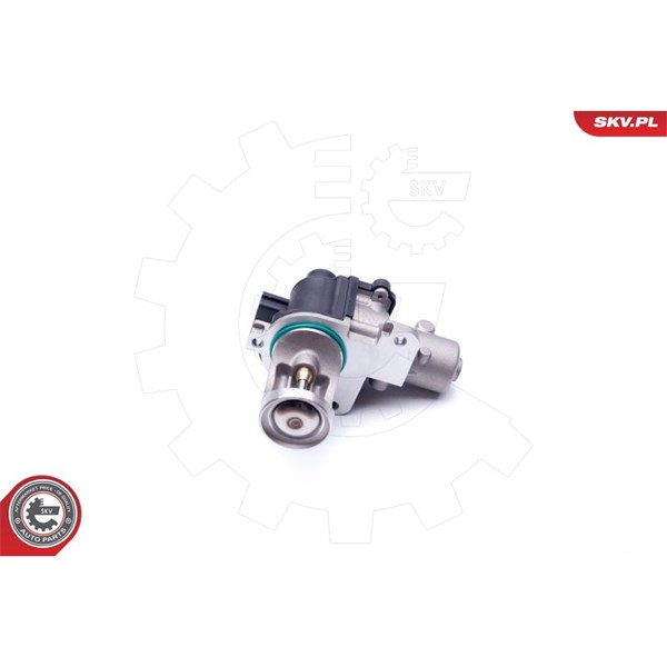 Egr-ventil 12V Esen skv 14SKV172 ESEN SKV