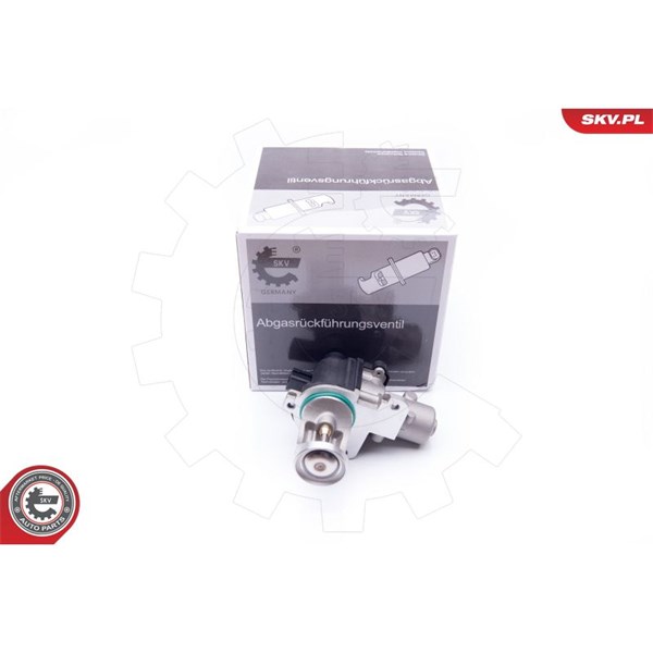Egr-ventil 12V Esen skv 14SKV172 ESEN SKV
