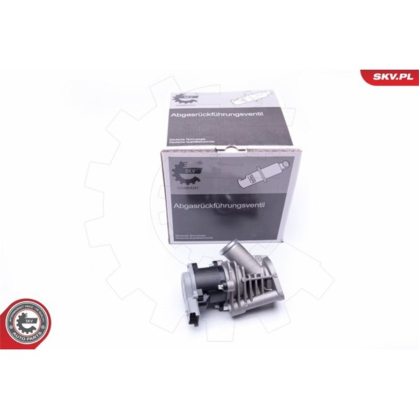 Egr-ventil 12V Esen skv 14SKV173 ESEN SKV