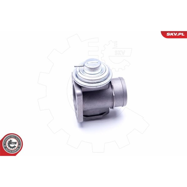 Egr-ventil Esen skv 14SKV174 ESEN SKV