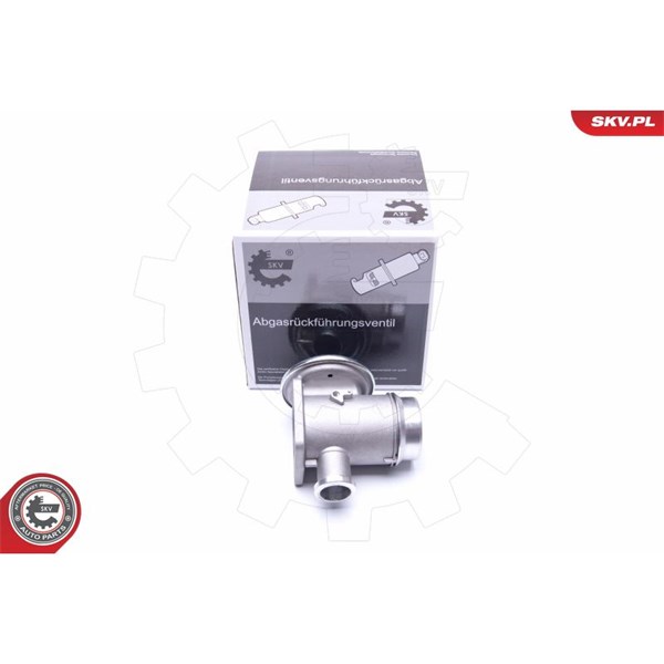 Egr-ventil Esen skv 14SKV176 ESEN SKV